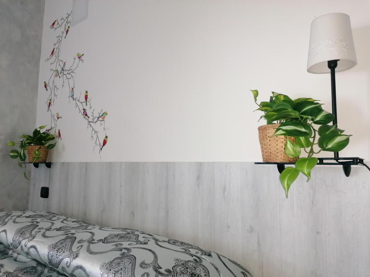 B&B Villa Molinari Restaurant E Baby Park 坎帕尼亚 外观 照片