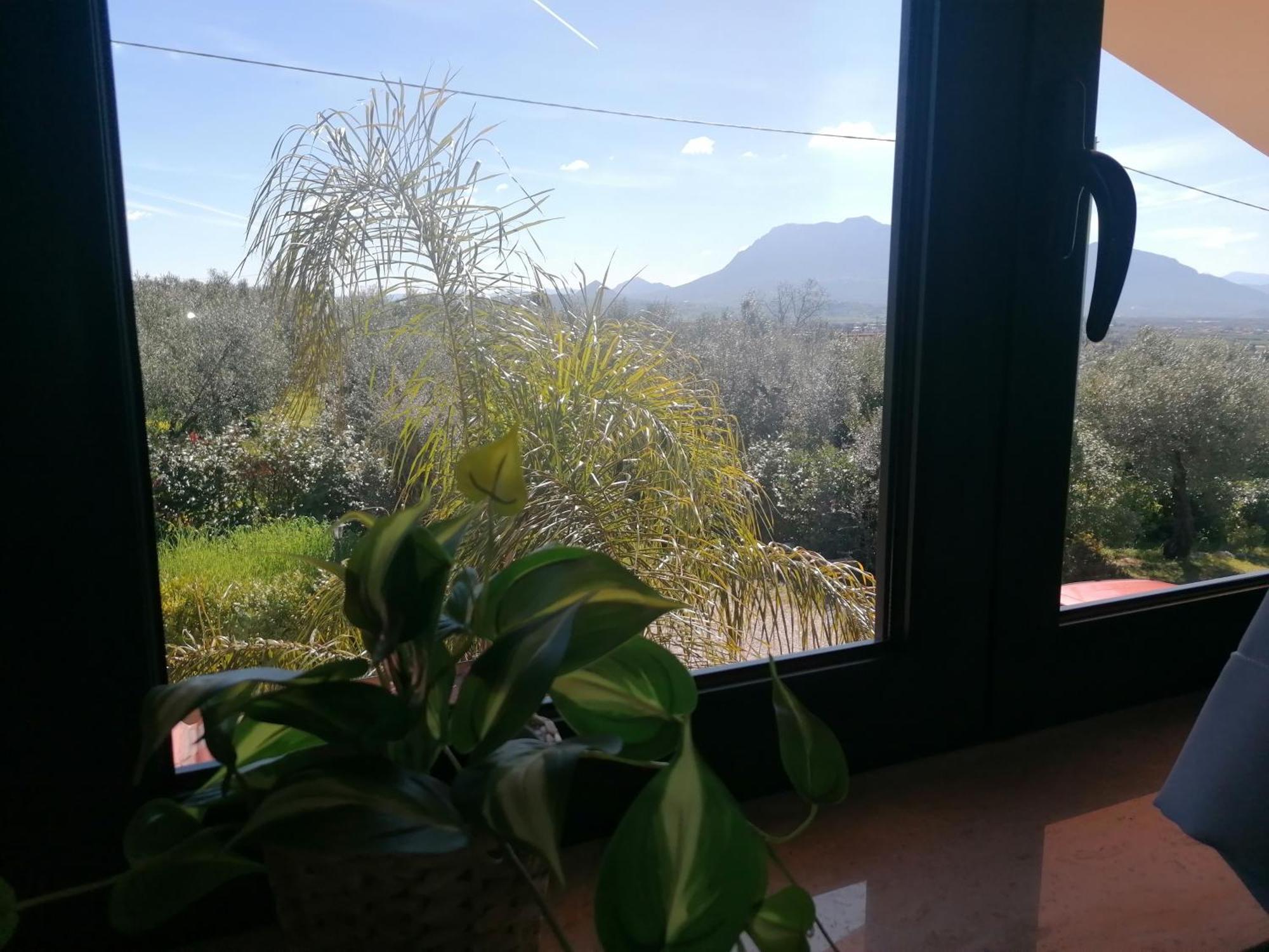 B&B Villa Molinari Restaurant E Baby Park 坎帕尼亚 客房 照片
