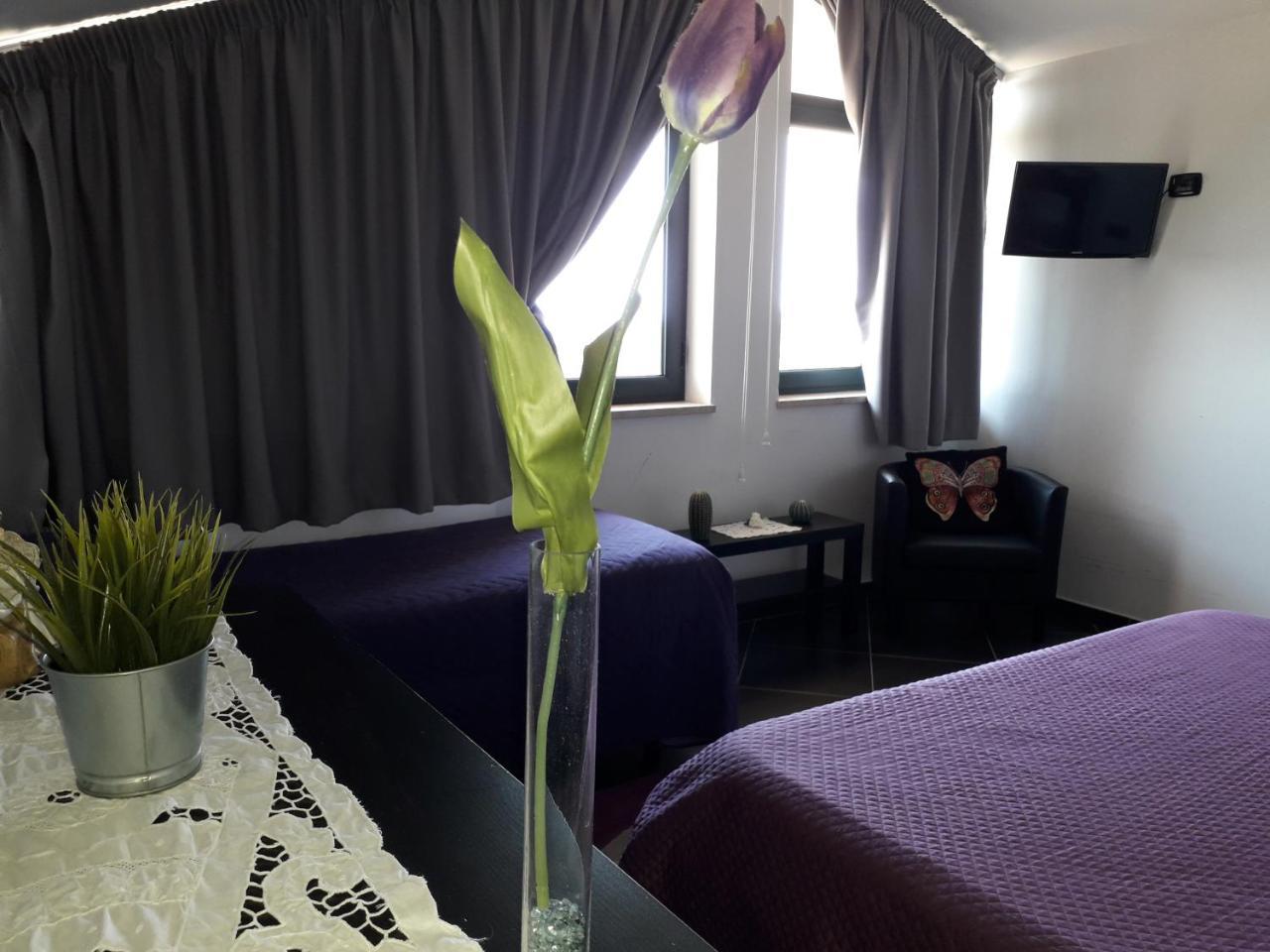 B&B Villa Molinari Restaurant E Baby Park 坎帕尼亚 外观 照片