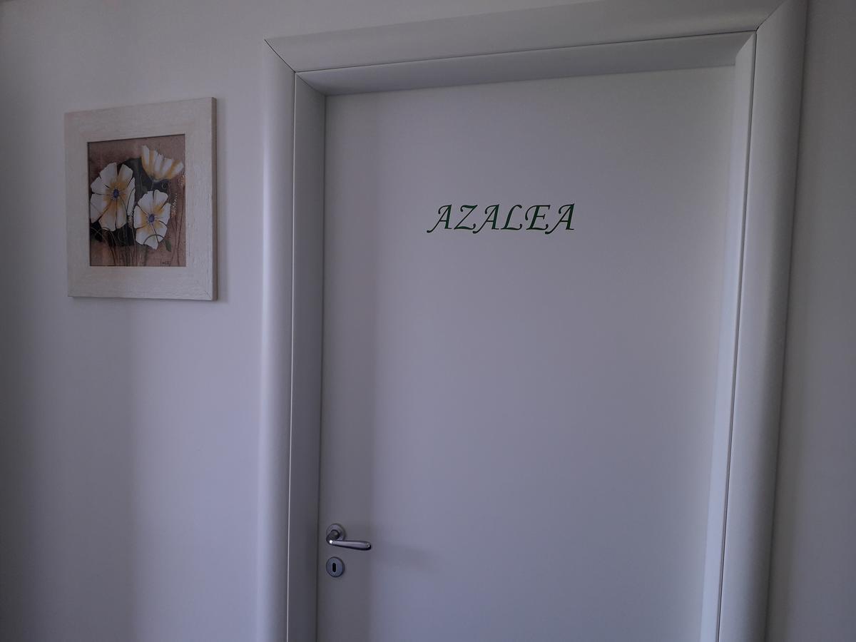 B&B Villa Molinari Restaurant E Baby Park 坎帕尼亚 外观 照片
